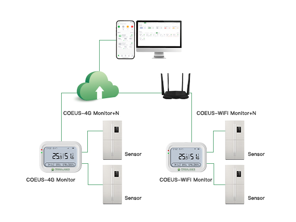 مسجل بيانات درجة الحرارة والرطوبة اللاسلكي COEUS-WIFI/4G